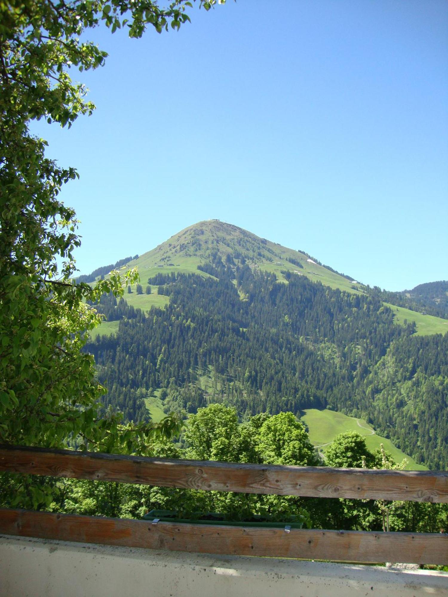 Alpengasthof Gruberhof Soll Luaran gambar