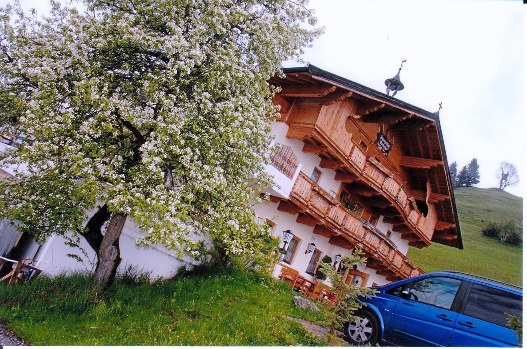 Alpengasthof Gruberhof Soll Luaran gambar